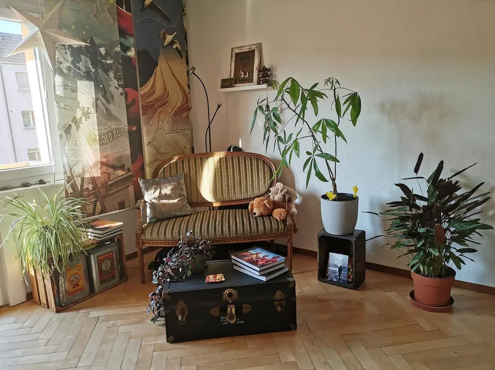 Dnevna soba; drveni pod, prirodno svjetlo, rustikalni stil