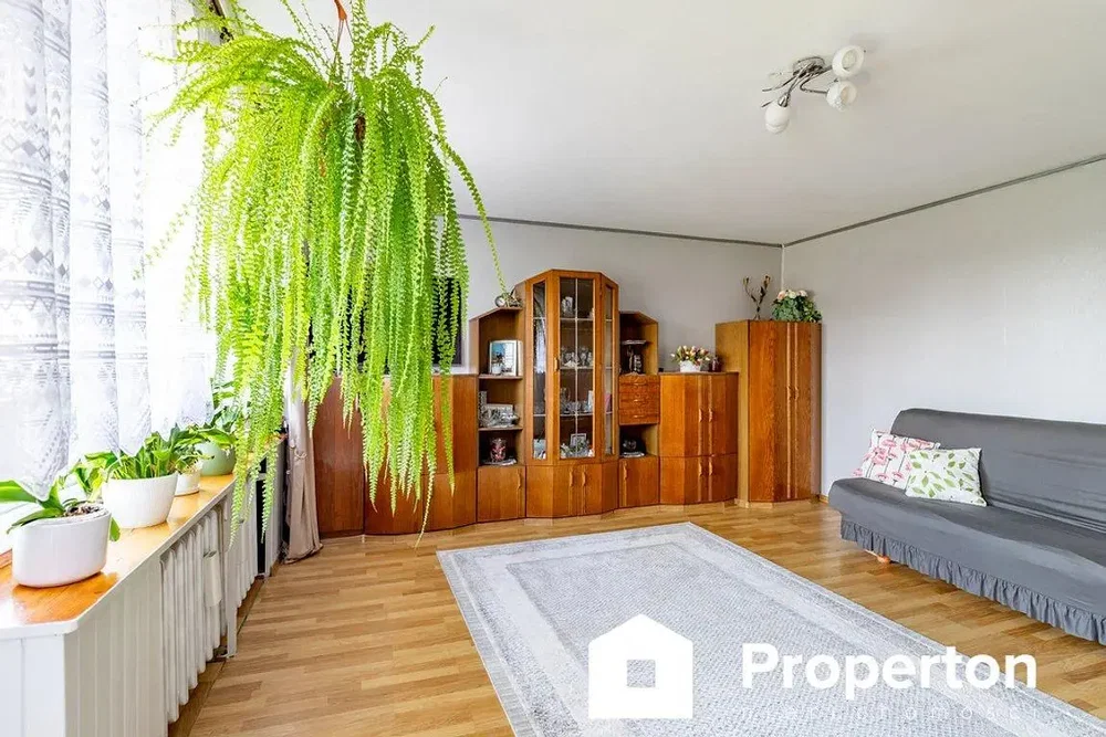 Salon; parquet, lumière naturelle