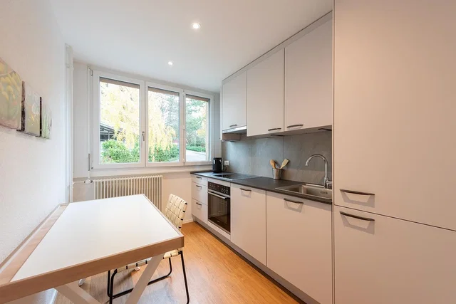 Kitchen; kitchen appliances, natural light, modern style