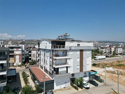 House and surroundings; view