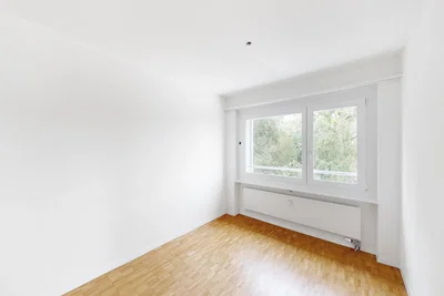 Autre; parquet, lumière naturelle