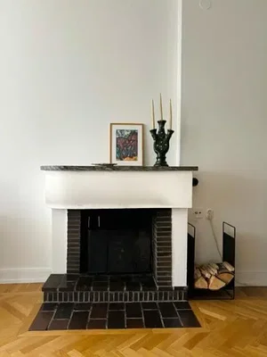 Salon; cheminée, parquet