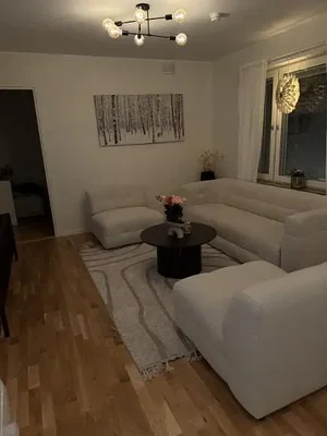Dnevna soba; drveni pod, prirodno svjetlo, moderni stil