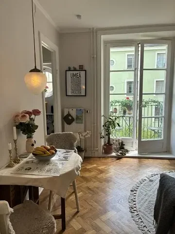 Living room; natural light, wood floor, rustic style