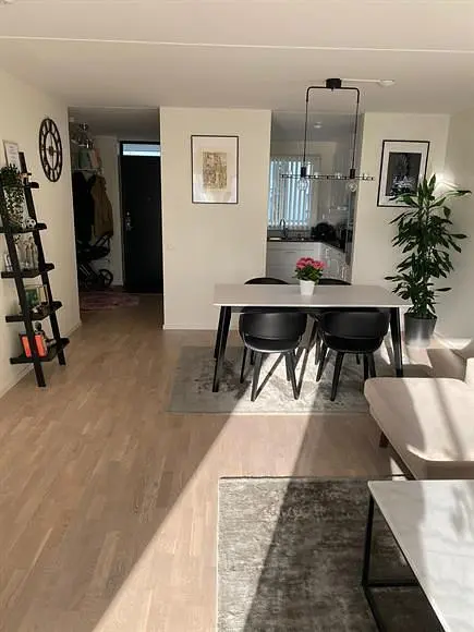 Living room; wood floor, natural light