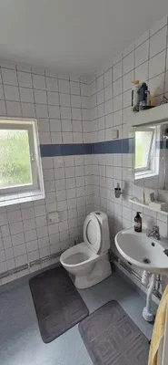 Toalet; pločice, prirodno svjetlo