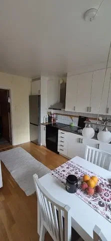 Kuhinja; kuhinjski aparati, drveni pod, prirodno svjetlo