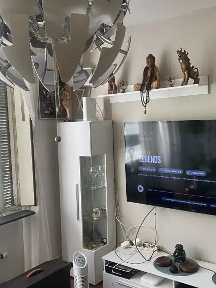 Dnevna soba; moderni stil, prirodno svjetlo