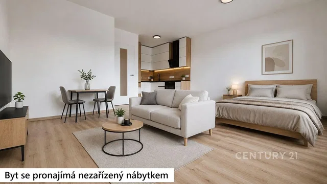 Σαλόνι; ξύλινο πάτωμα, φυσικό φως, μοντέρνο στυλ