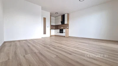 Salon; podłoga drewniana, światło dzienne, wyremontowany
