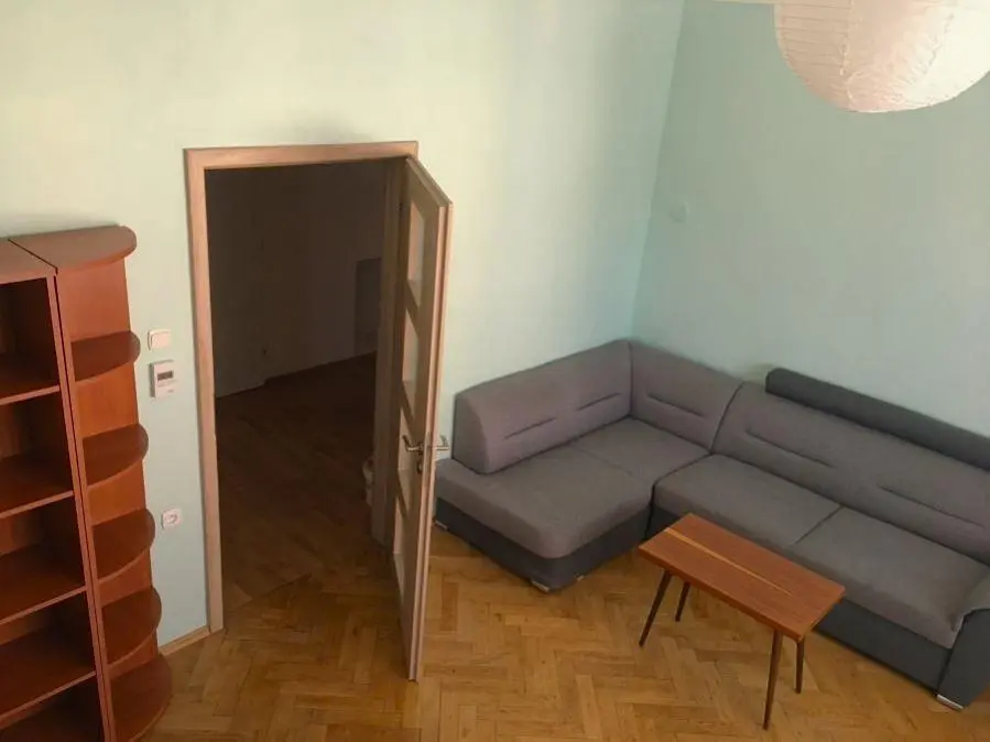 Living room; wood floor, natural light