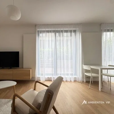 Living room; wood floor, natural light, modern style