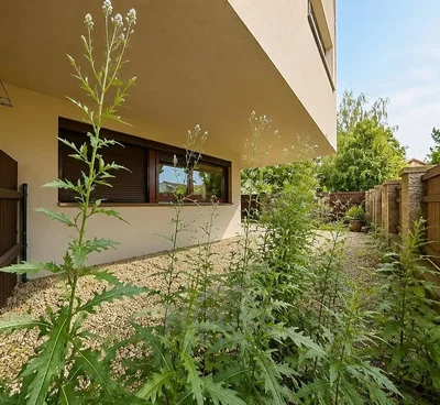 Maison et environs; lumière naturelle, nécessite rénovation