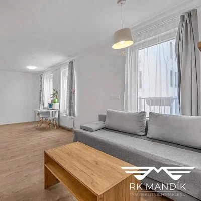 Salon; podłoga drewniana, światło dzienne
