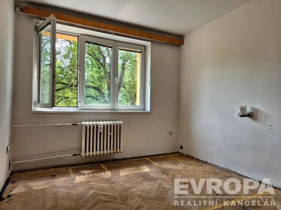 Ostalo; drveni pod, prirodno svjetlo, potrebna renovacija, pogled