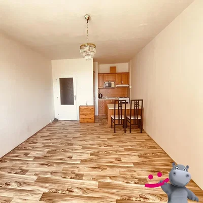 Living room; wood floor, natural light