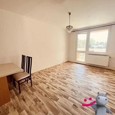Other; wood floor, natural light