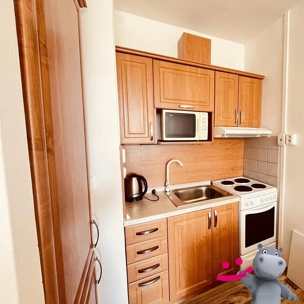 Kitchen; kitchen appliances, wood floor