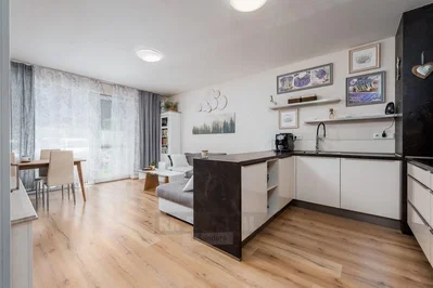 Living room; kitchen appliances, wood floor, natural light