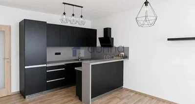 Kitchen; kitchen appliances, wood floor, renovated, natural light