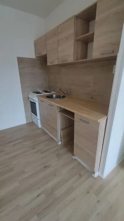 Cozinha; chão de madeira, eletrodomésticos