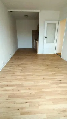 Sala de estar; chão de madeira, luz natural