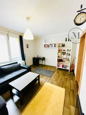 Salon; parquet, lumière naturelle