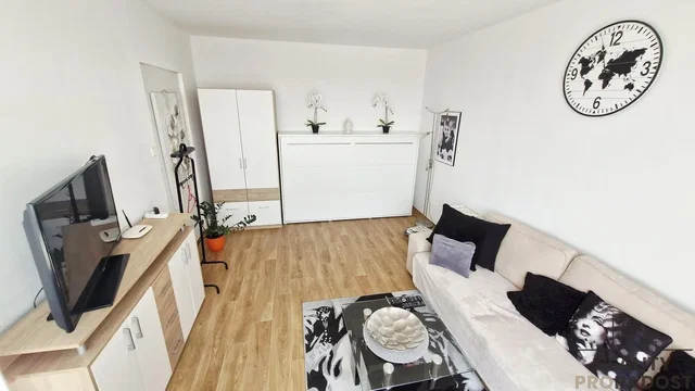 Living room; natural light, wood floor, modern style