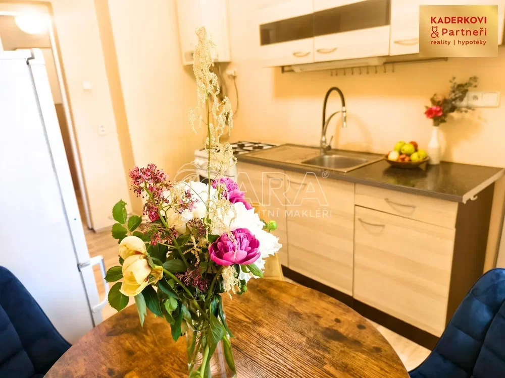 Cocina; electrodomésticos, suelo de madera, luz natural