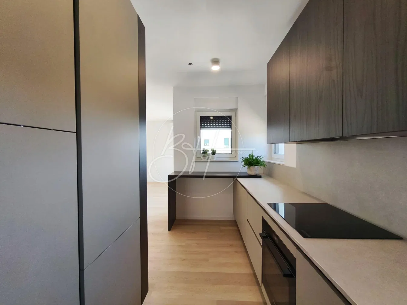 Kitchen; kitchen appliances, wood floor, natural light, modern style