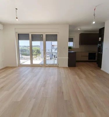 Living room; wood floor, view, natural light