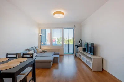 Living room; natural light, wood floor, modern style