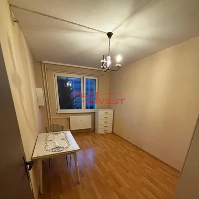 Other; wood floor, natural light