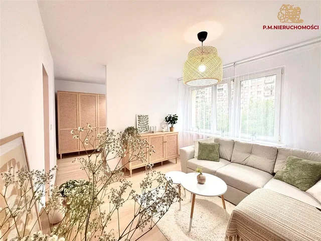 Dnevni boravak; prirodna svjetlost, moderan stil