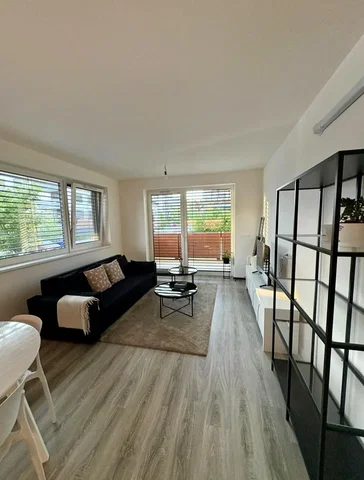 Living room; natural light, wood floor, modern style