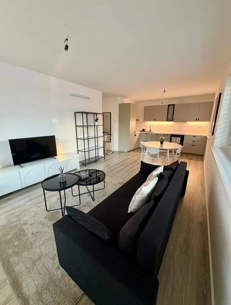 Living room; natural light, wood floor, modern style