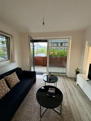 Living room; natural light, wood floor, modern style