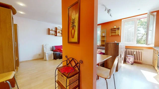Living room; natural light, wood floor
