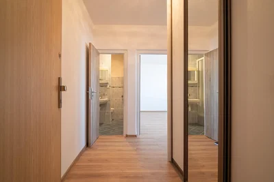 Other; wood floor, natural light