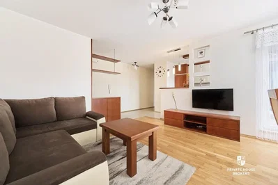 Living room; natural light, wood floor, modern style