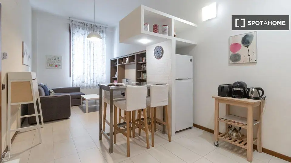 Keuken; keukenapparatuur, natuurlijk licht, moderne stijl