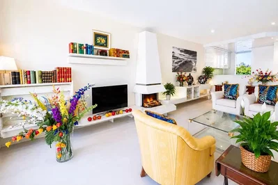 Living room; natural light, modern style, fireplace