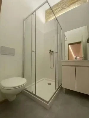 Toilette; fliesenboden, tageslicht