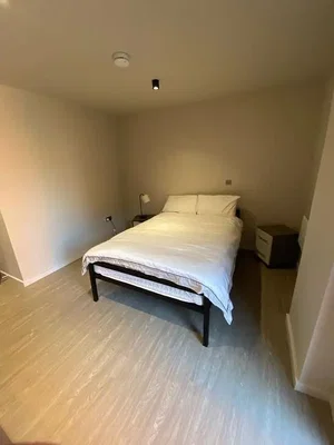 Bedroom; natural light, wood floor