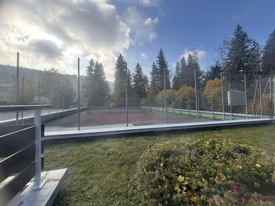 Ostatní