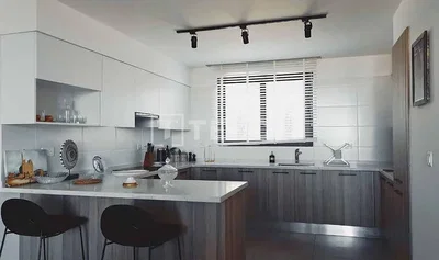 Kitchen; kitchen appliances, natural light, modern style, renovated