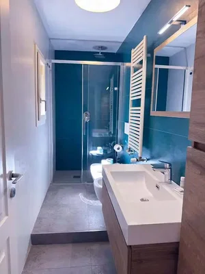 Bagno; pavimento in piastrelle, ristrutturato, luce naturale