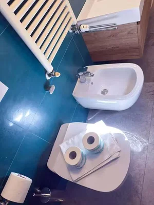 Toilette; pavimento in piastrelle, ristrutturato, luce naturale