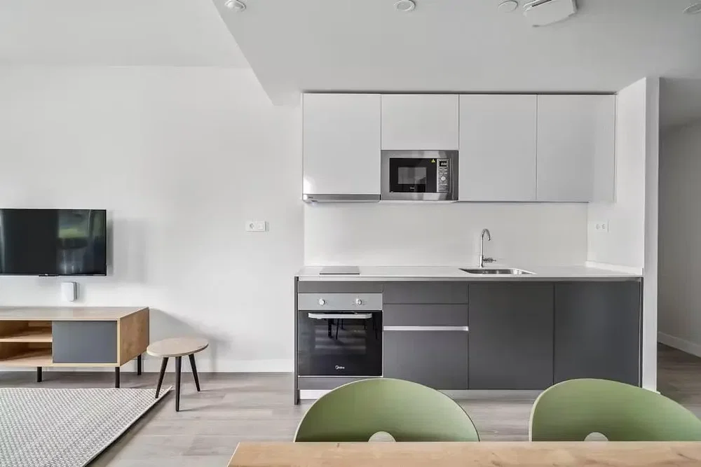 Keuken; keukenapparatuur, natuurlijk licht, moderne stijl