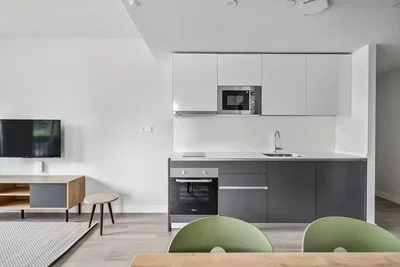 Keuken; keukenapparatuur, natuurlijk licht, moderne stijl